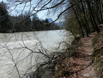 Die Saalach in der Nonner Au.